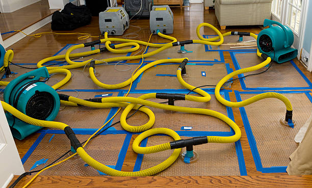 Professional Structural Drying And Dehumidification technician working in Albany, CA